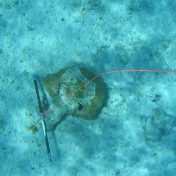 IMG_0138 IMG_0138