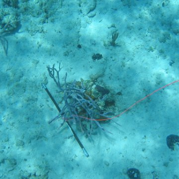 IMG_0140 IMG_0140