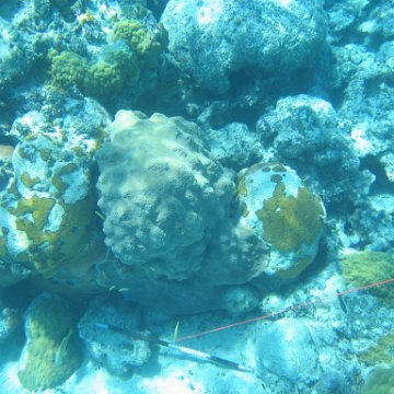 IMG_0142 IMG_0142