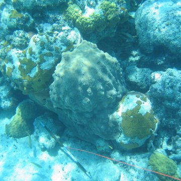 IMG_0143 IMG_0143
