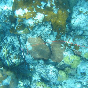 IMG_0144 IMG_0144