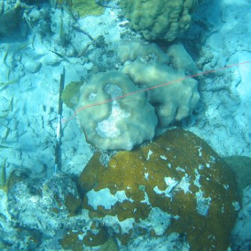 IMG_0145 IMG_0145