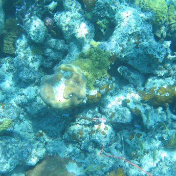 IMG_0147 IMG_0147