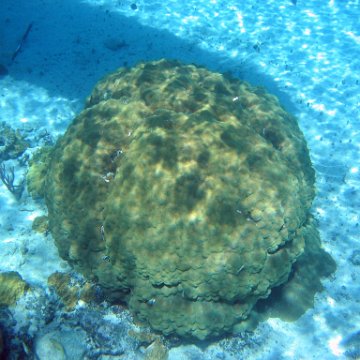 IMG_0110 IMG_0110
