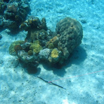 IMG_0111 IMG_0111