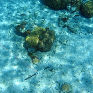 IMG_0114 IMG_0114