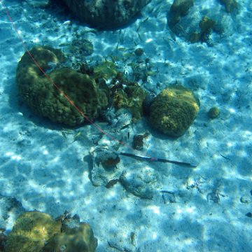 IMG_0116 IMG_0116