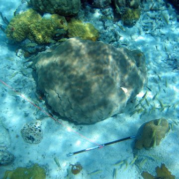 IMG_0117 IMG_0117