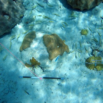 IMG_0119 IMG_0119