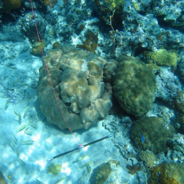 IMG_0120 IMG_0120
