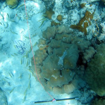 IMG_0121 IMG_0121