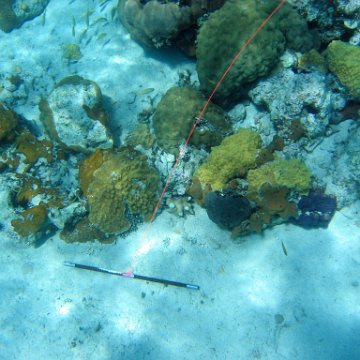 IMG_0122 IMG_0122