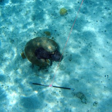 IMG_0124 IMG_0124
