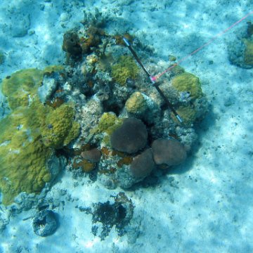IMG_0125 IMG_0125