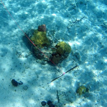 IMG_0127 IMG_0127