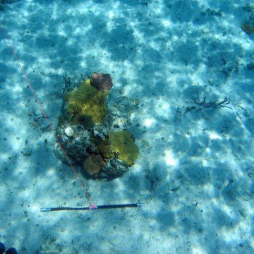 IMG_0128 IMG_0128
