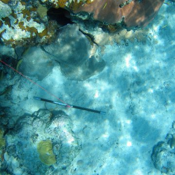 IMG_0130 IMG_0130