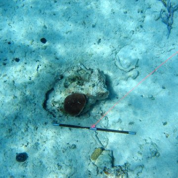 IMG_0133 IMG_0133