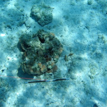 IMG_0135 IMG_0135