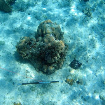 IMG_0136 IMG_0136
