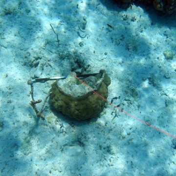 IMG_0137 IMG_0137