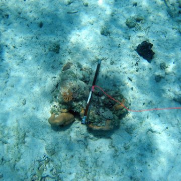 IMG_0139 IMG_0139