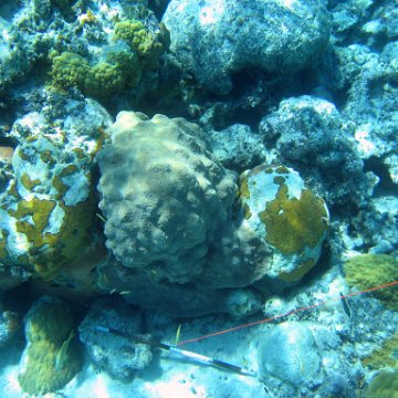 IMG_0142 IMG_0142
