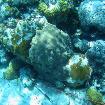 IMG_0143 IMG_0143