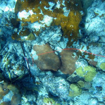 IMG_0144 IMG_0144