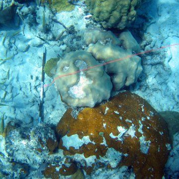 IMG_0145 IMG_0145