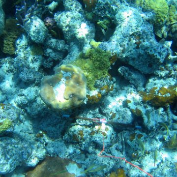 IMG_0147 IMG_0147