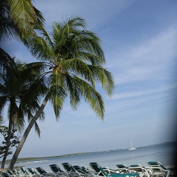 Reefball2004 014 Reefball2004 014