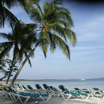 Reefball2004 015 Reefball2004 015