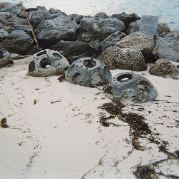 BD02.jpg BD02.jpg