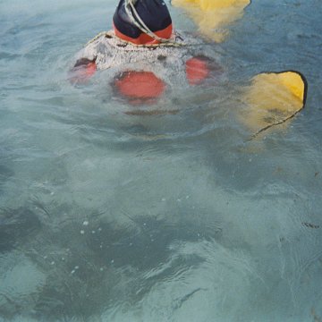 BD07.jpg BD07.jpg