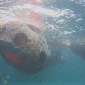 BD11.jpg BD11.jpg