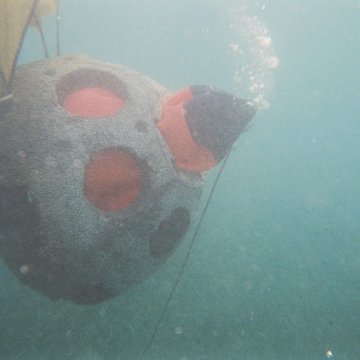 BD12.jpg BD12.jpg
