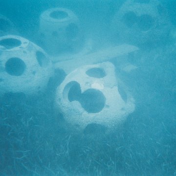 BD15.jpg BD15.jpg