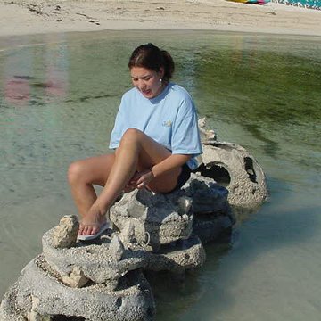 ReefBall003.jpg ReefBall003.jpg