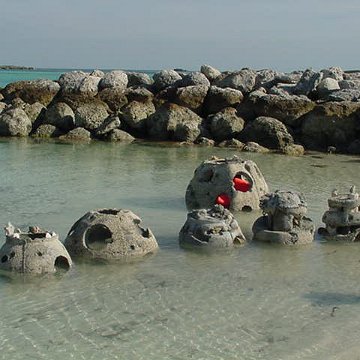 ReefBall005.jpg ReefBall005.jpg