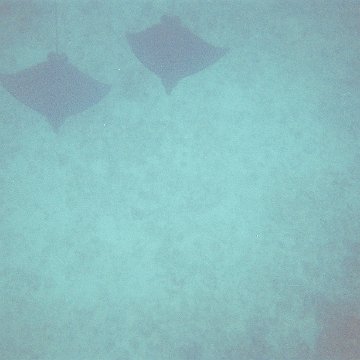 4753890-R1-012-4A 4753890-R1-012-4A