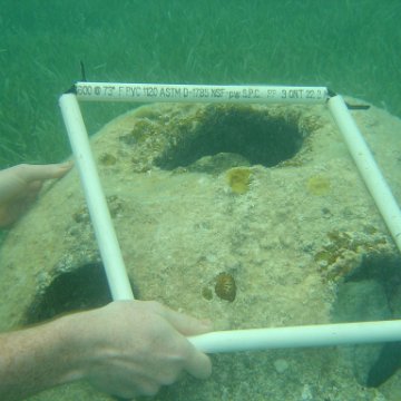 Reefball2004 012 Reefball2004 012