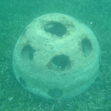 Reefball2004 003 Reefball2004 003