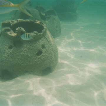 10-2003-01.jpg 10-2003-01.jpg