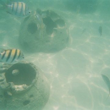 10-2003-02.jpg 10-2003-02.jpg