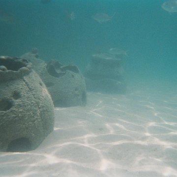 10-2003-03.jpg 10-2003-03.jpg