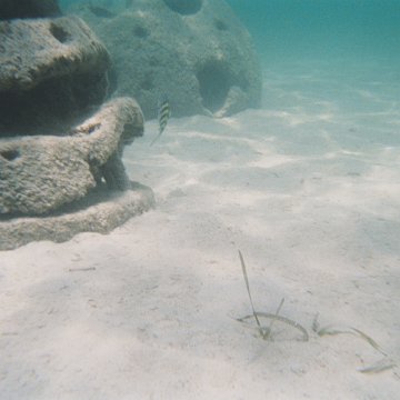 10-2003-05.jpg 10-2003-05.jpg