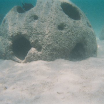 10-2003-06.jpg 10-2003-06.jpg