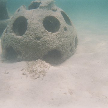 10-2003-08.jpg 10-2003-08.jpg