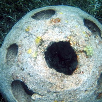 d206 d206